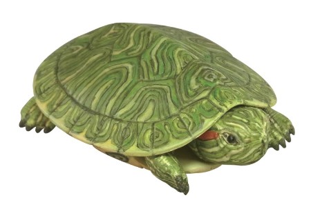 みずべのなかま