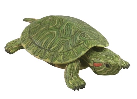 みずべのなかま