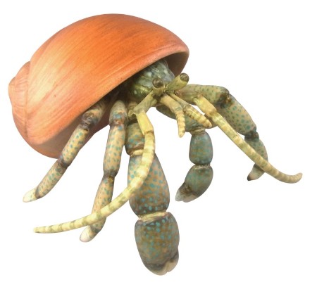 みずべのなかま