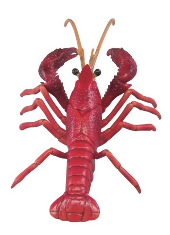 みずべのなかま