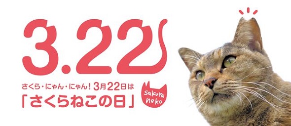さくらねこの日