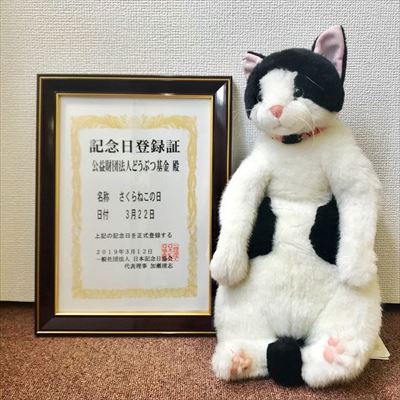 さくらねこの日