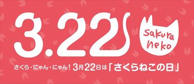 さくらねこの日