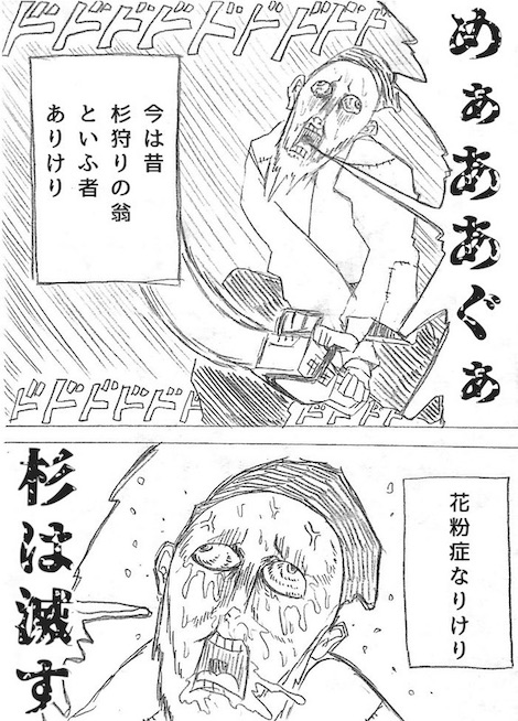 komeyama029 花粉症 杉