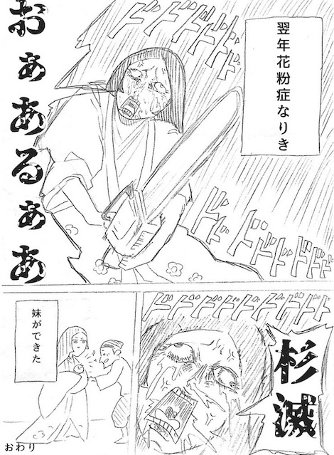 komeyama029 花粉症 杉
