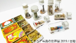 細目