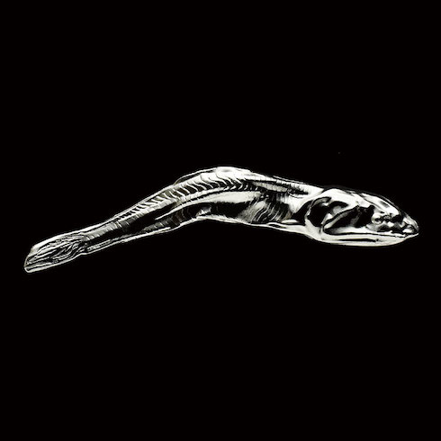 キタンクラブ 煮干し