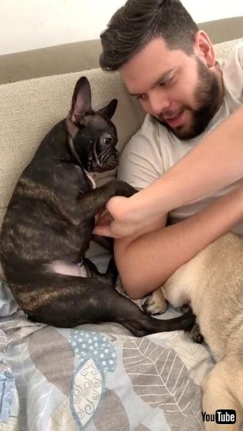 ツッコミを入れるワンコ