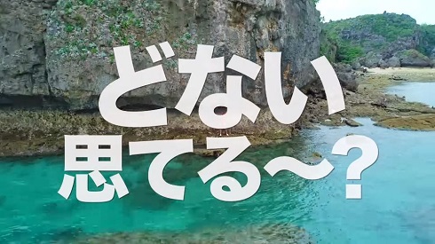 動物愛護法の改正について