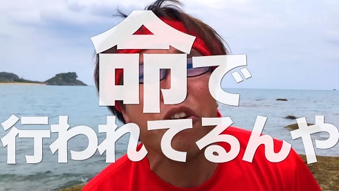 動物愛護法の改正について