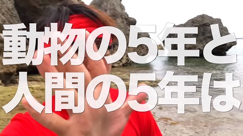 動物愛護法の改正について