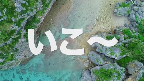 動物愛護法の改正について