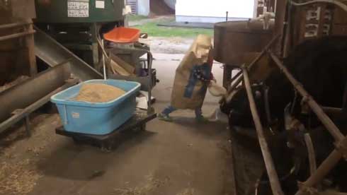 紙袋 餌袋 マン かぶる 子ども エサ袋 雷 反応 頭隠す かわいい 牛