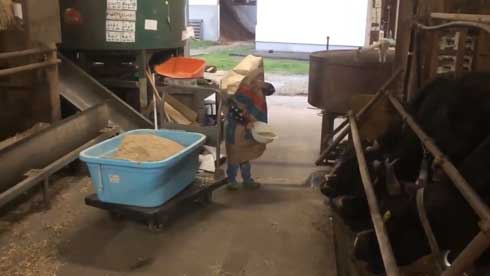 紙袋 餌袋 マン かぶる 子ども エサ袋 雷 反応 頭隠す かわいい 牛