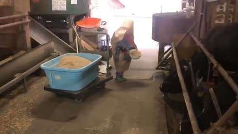 紙袋 餌袋 マン かぶる 子ども エサ袋 雷 反応 頭隠す かわいい 牛