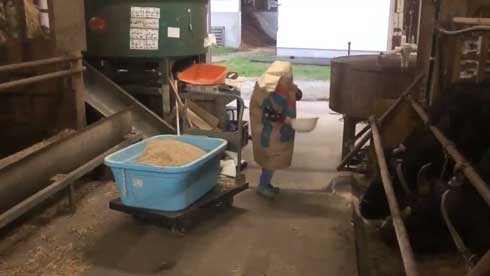 紙袋 餌袋 マン かぶる 子ども エサ袋 雷 反応 頭隠す かわいい 牛