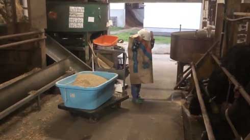 紙袋 餌袋 マン かぶる 子ども エサ袋 雷 反応 頭隠す かわいい 牛