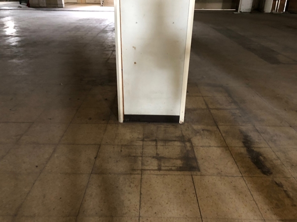 欅坂46 黒い羊 ロケ地探訪 踊ってみた 再現