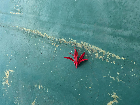 欅坂46 黒い羊 ロケ地探訪 踊ってみた 再現