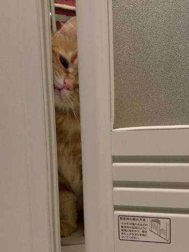 ちくわちゃん お風呂