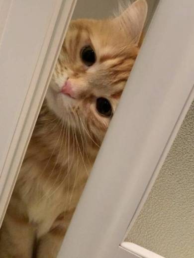ちくわちゃん お風呂