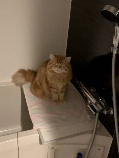 ちくわちゃん お風呂