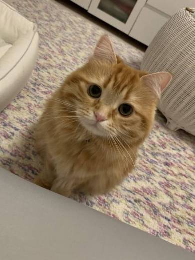 ちくわちゃん お風呂