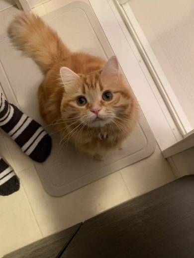ちくわちゃん お風呂