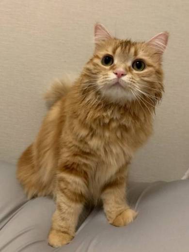 ちくわちゃん お風呂
