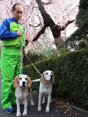 シロアリ探知犬