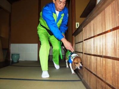 シロアリ探知犬