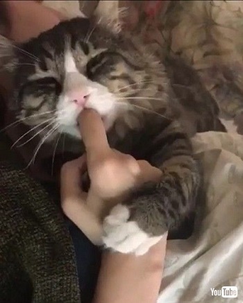 before sleepimg