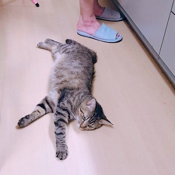 ぱるちゃん写真