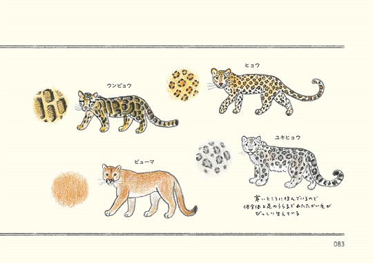 どうぶつのかたち練習帖