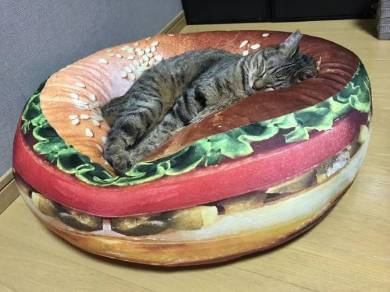 ドールベッド 猫ベッド