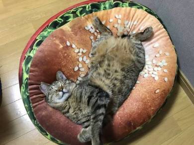 ドールベッド 猫ベッド
