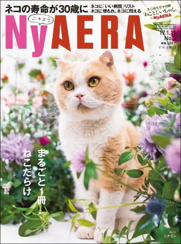 NyAERA
