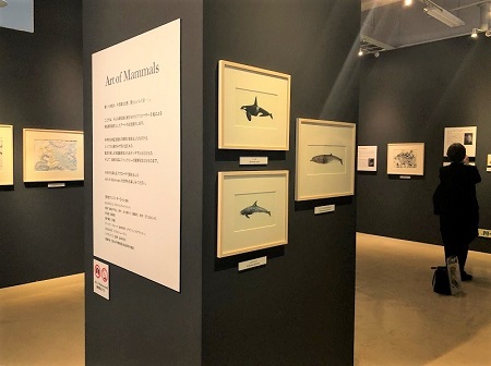 大哺乳類展2