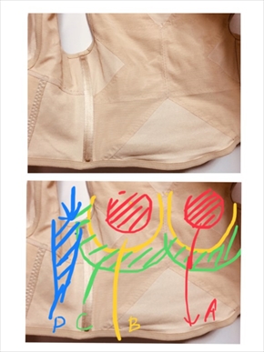 叶姉妹 叶恭子 叶美香 ジョジョ コスプレ ジョルノ・ジョバーナ 黄金の風 ジョジョの奇妙な冒険 バストバスト ベルトニッパー