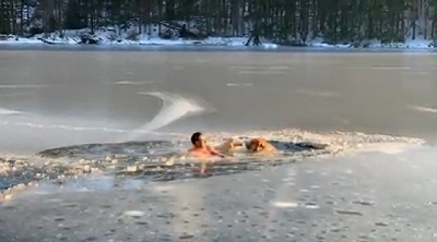 凍った池から救出