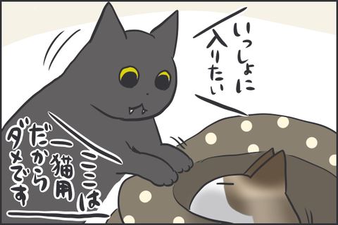 フニャコ