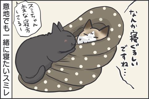 フニャコ