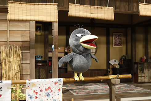 チコちゃんに叱られる