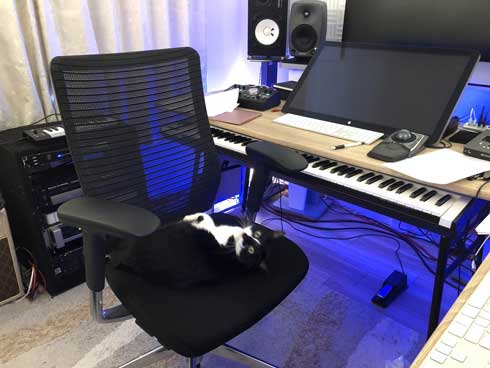 猫を飼うのをすすめない11の理由 響介 猫マスター 作曲家 エッセイ