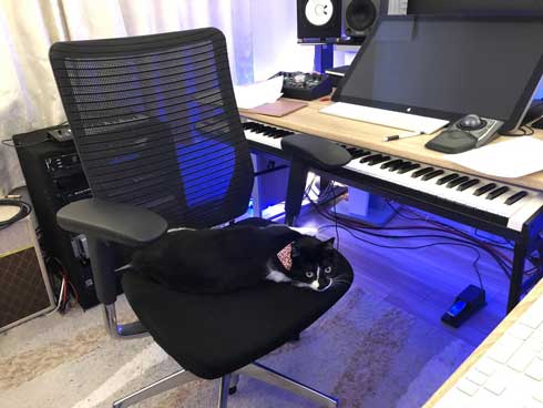 猫を飼うのをすすめない11の理由 響介 猫マスター 作曲家 エッセイ