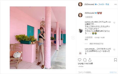 藤田ニコル 平野ノラ セブ島 有吉ゼミ 最安値ツアー ビキニ ハッピービーチ