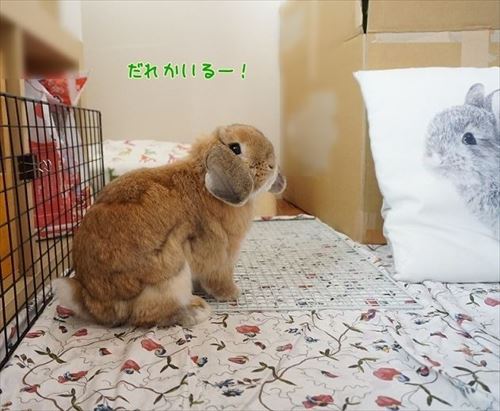 もんじももじじ