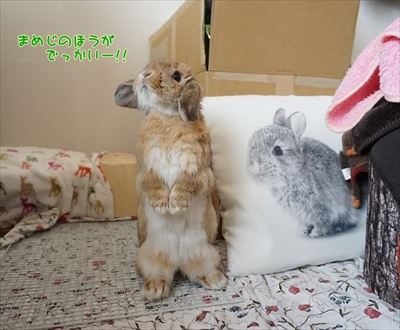 もんじももじじ