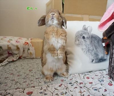 もんじももじじ