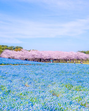 海の中道海浜公園